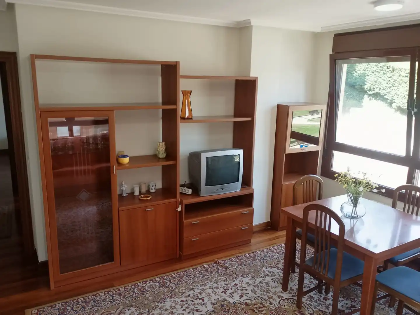 Sala d'estar de Pis de lloguer en Oviedo  amb Calefacció, Jardí privat i Parquet