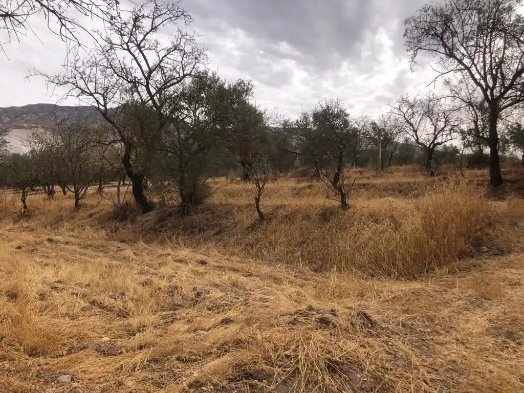 Rural land for sale in Dúrcal, imagen 3