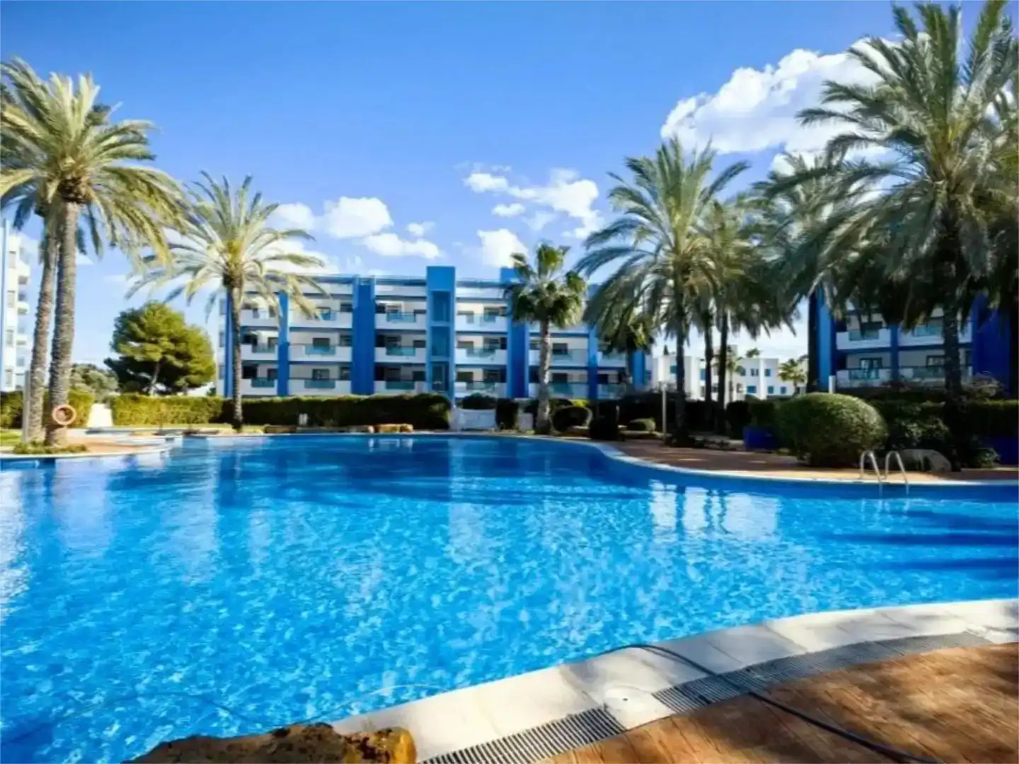 Schwimmbecken von Wohnungen zur Miete in Santa Eulària des Riu mit Klimaanlage und Schwimmbad