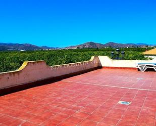 Terrassa de Casa o xalet de lloguer en Arboleas amb Terrassa