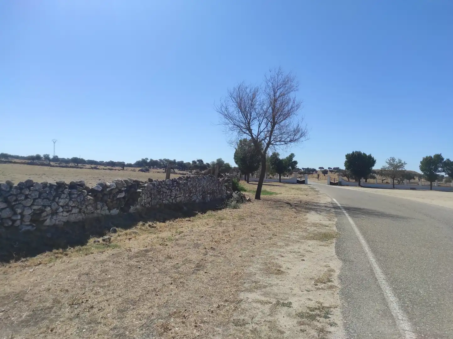 Terreny en venda a Avenida Virgen del Encinar, 1, Ceclavín