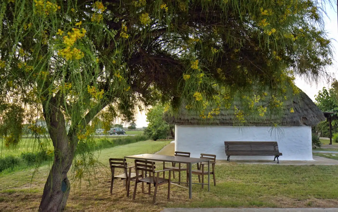 Casa rústica amb jardí en venda a Partida Cementiri, imagen 3