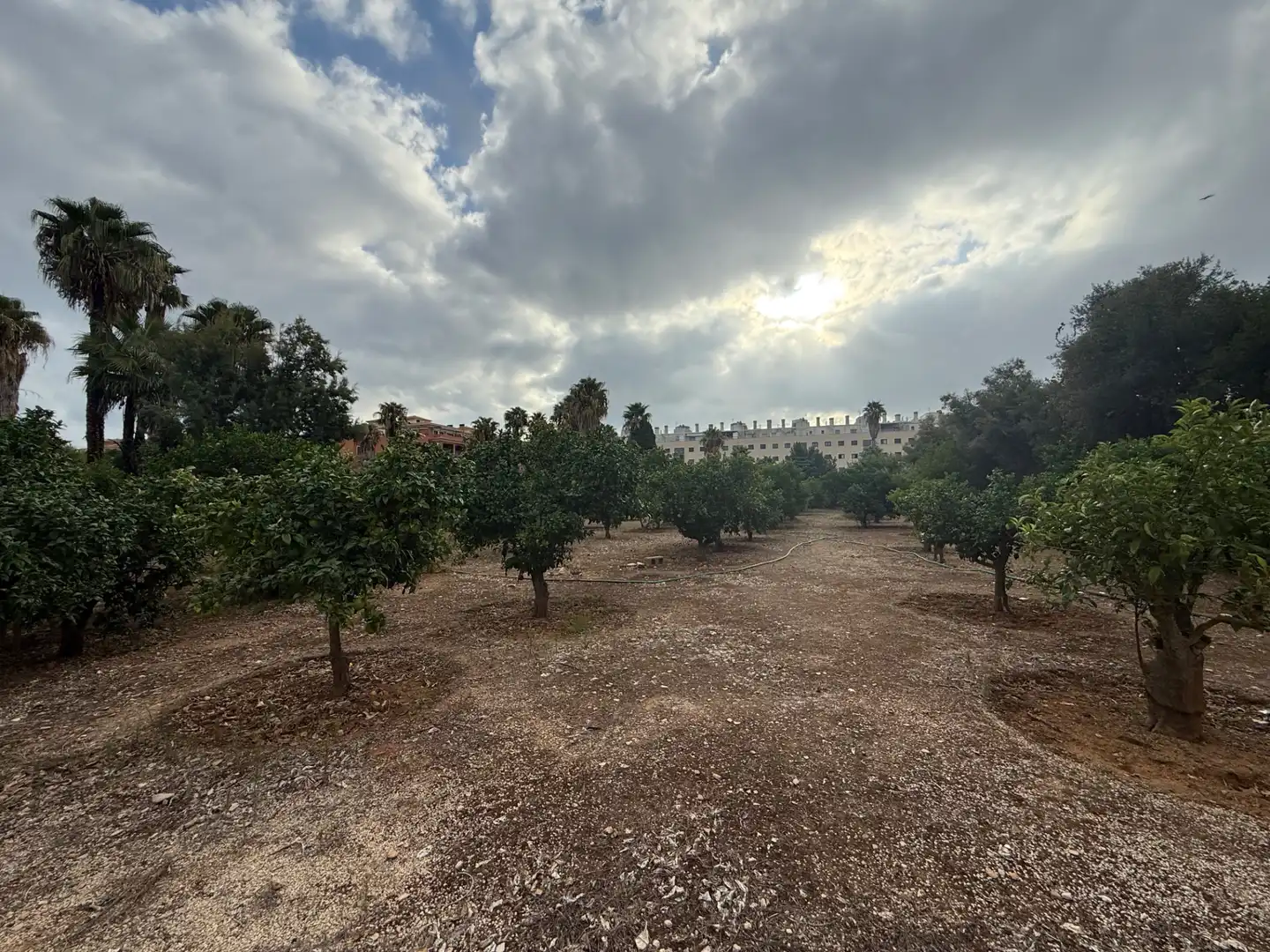 Terreno residenziale in vendita a Centro Urbano, imagen 2