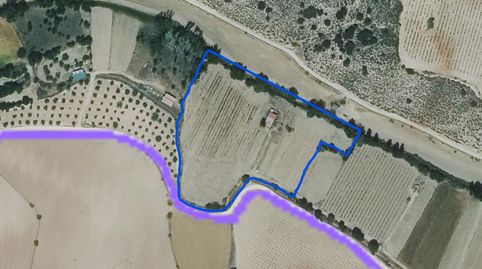 🌿 Huerta de Regadío en Venta junto al Río – Un rincón único en plena naturaleza