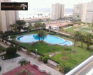 Swimming pool of Flat to rent in Alicante / Alacant  with Balcony