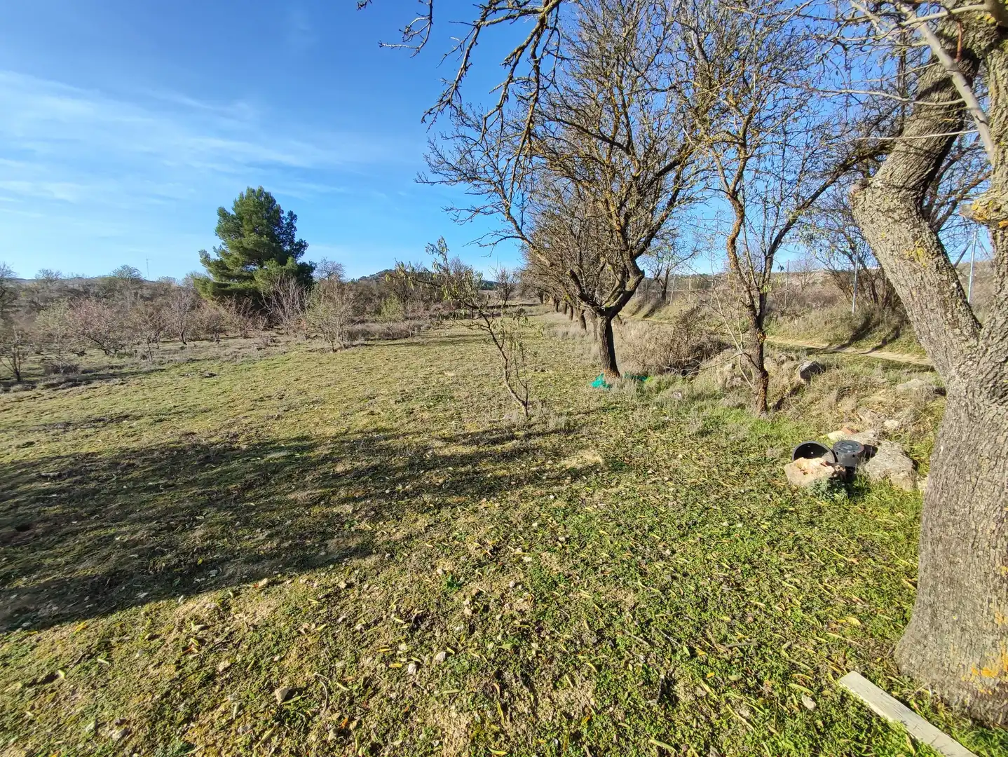 Finca rústica en venda a Carretera Autilla, 37, Allende el Río