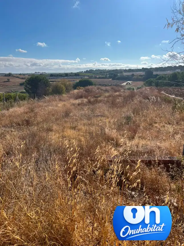 Casa o chalet en venta en Moguer con Jardín privado y Amueblado