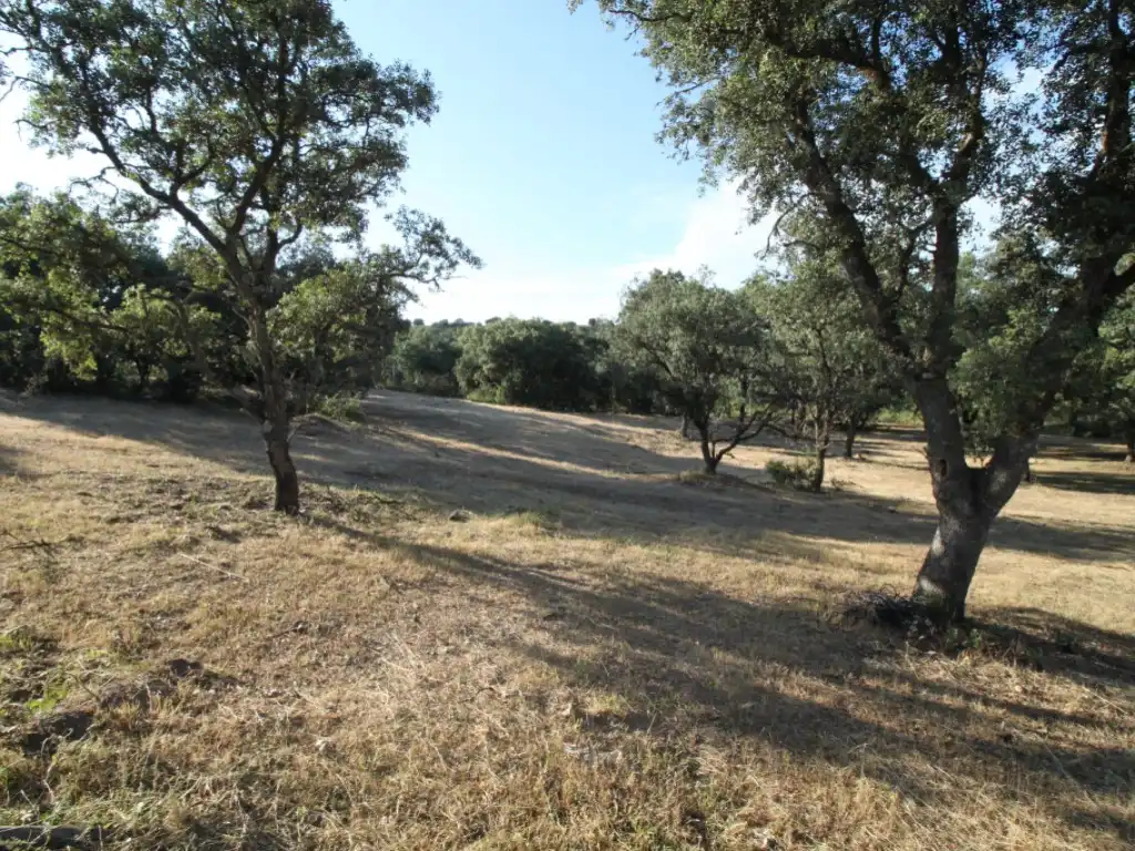 Residential land for sale in Ciudalcampo, imagen 9