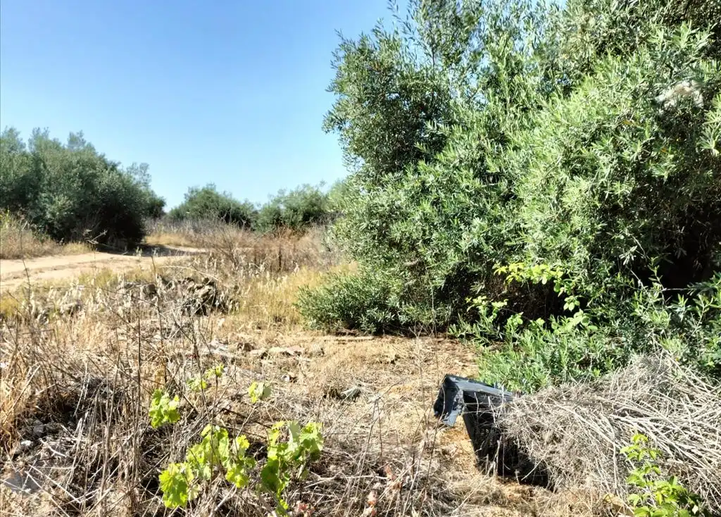 Terreni e lotti in vendita a Carretera de Palomares, imagen 13