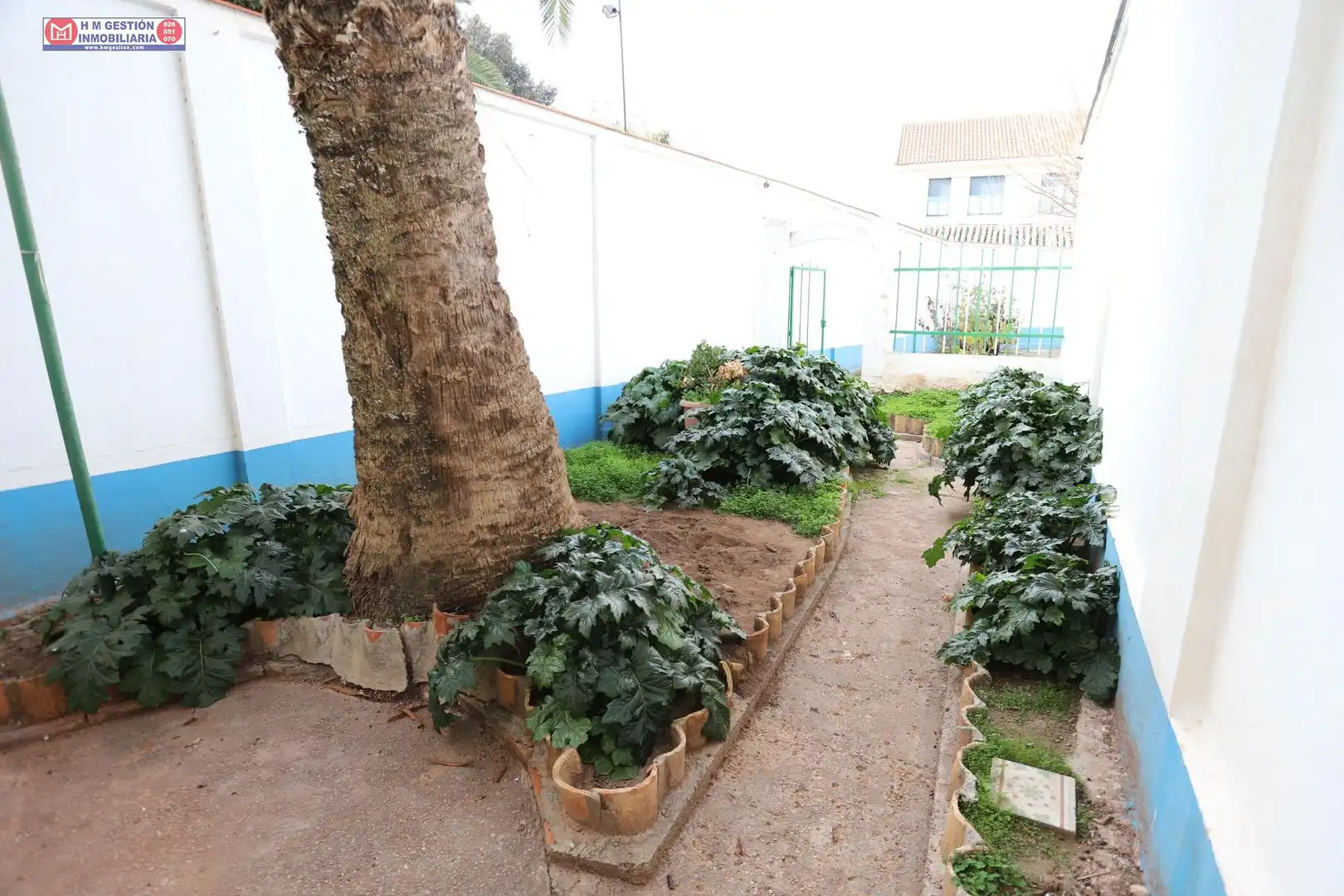 Haus mit Garten zum Verkauf in Alcázar de San Juan, imagen 23