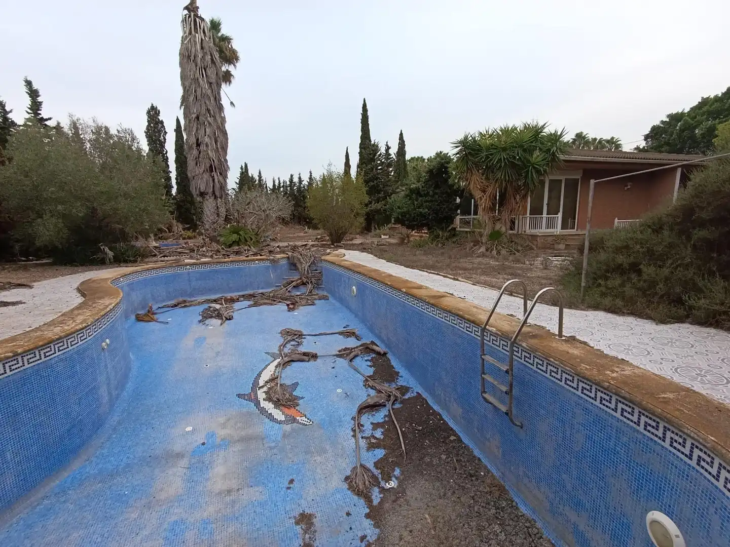 Piscina de Casa o xalet en venda en Elche / Elx amb Jardí privat, Terrassa i Traster