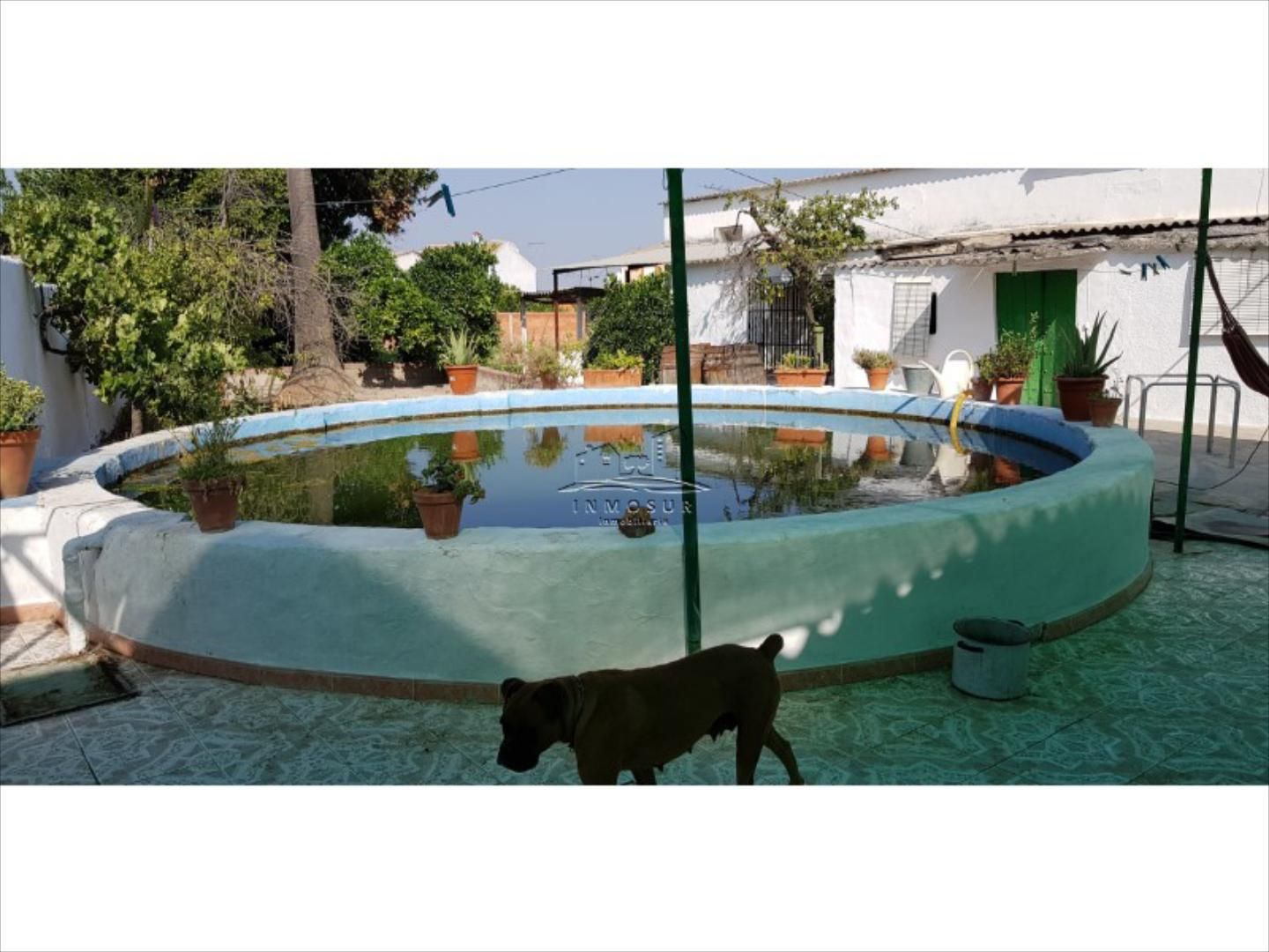 Piscina de Casa adosada en venda en Lucena