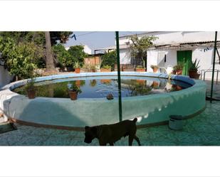 Piscina de Casa adosada en venda en Lucena