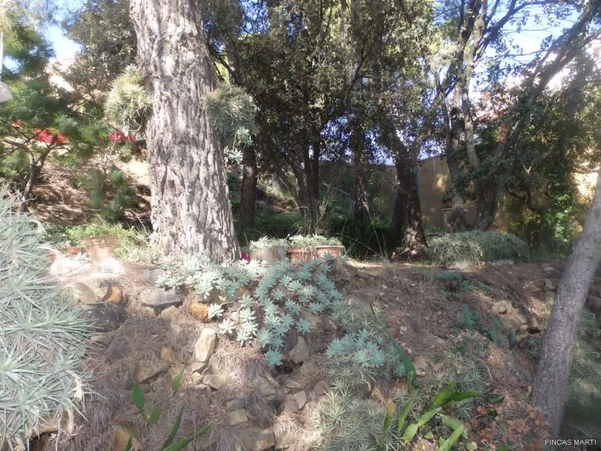 Terreno residenziale in vendita a Riudecanyes, imagen 8