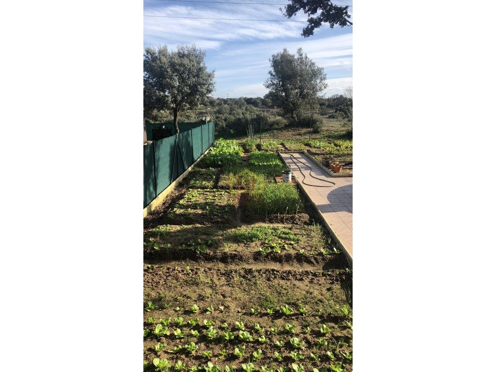 Jardín de Casa o chalet en venta en Buenavista