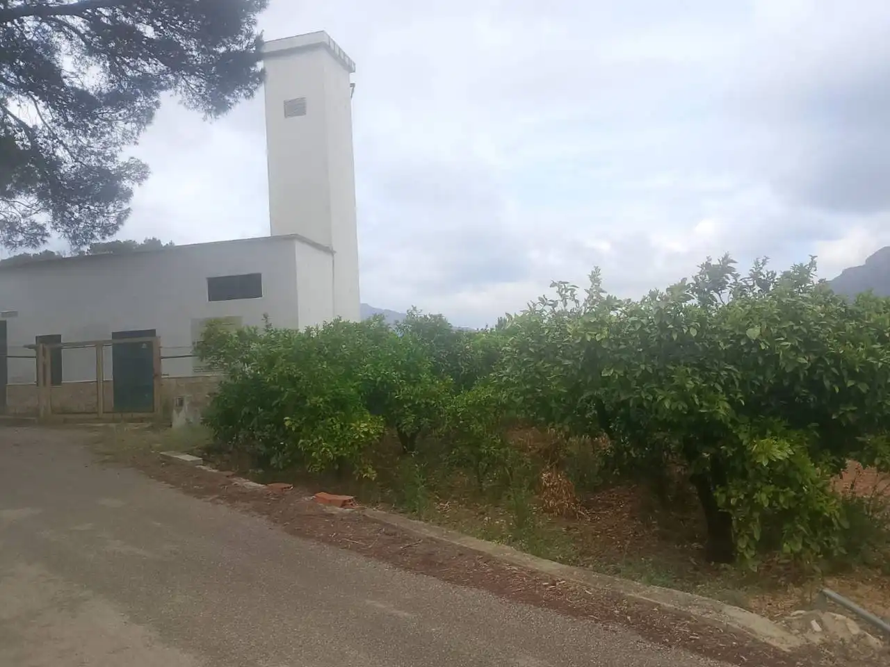 Terrain rustique à vendre à Calle Cami Rural Rotova, imagen 30