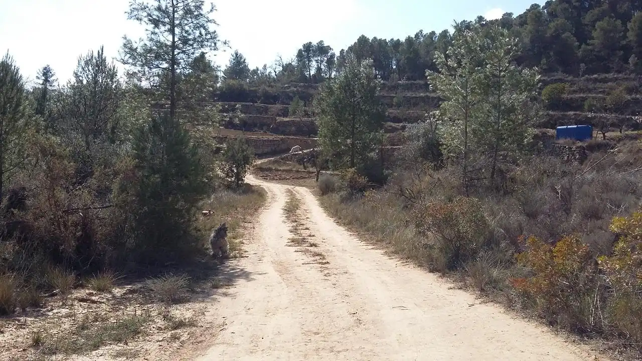 Terreni e lotti in vendita a Arens de Lledó, imagen 11