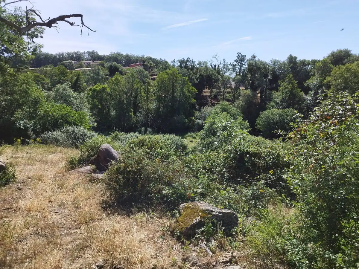Terreni e lotti in vendita a Jarandilla de la Vera, imagen 2