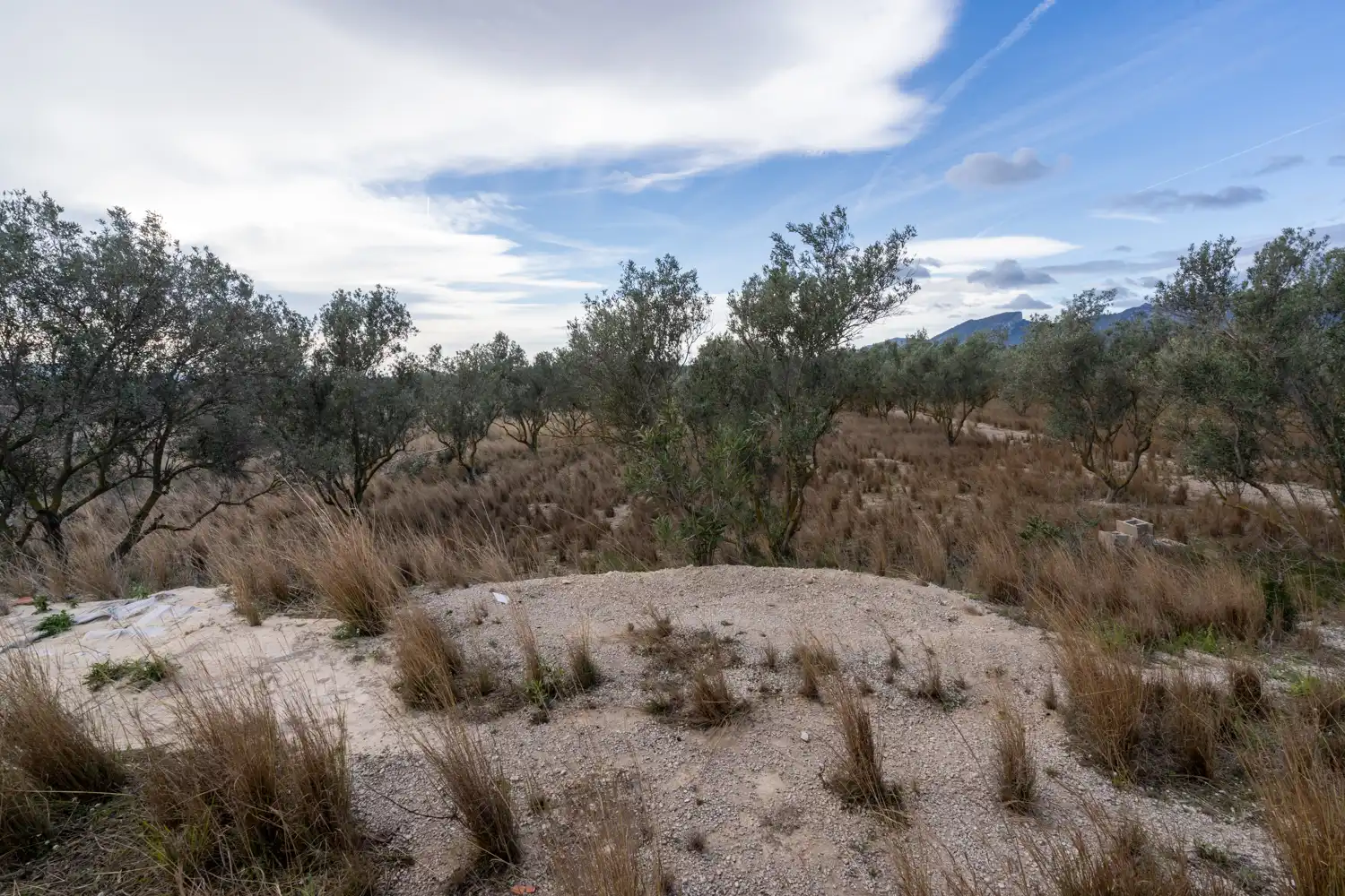 Terreno rustico in vendita a Roquetes, imagen 13