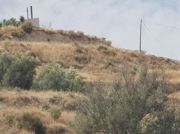 Rustikales Grundstück zum Verkauf in Abarán