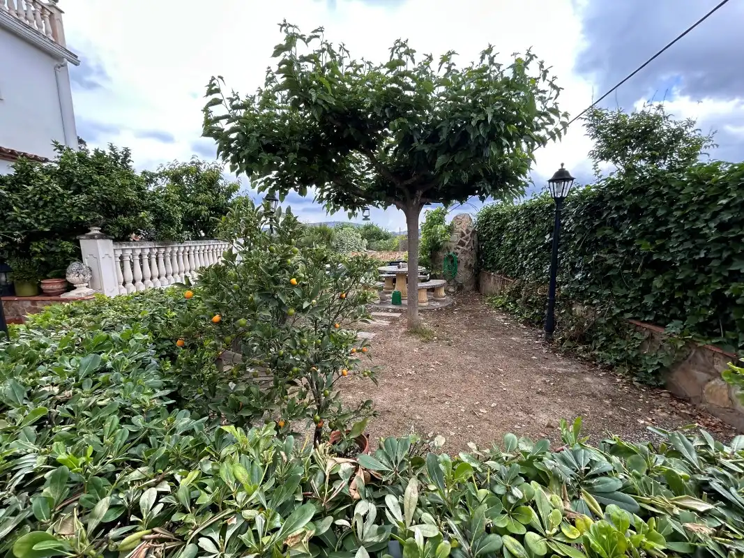 Jardí de Casa o xalet en venda en Sempere amb Aire condicionat, Jardí privat i Terrassa