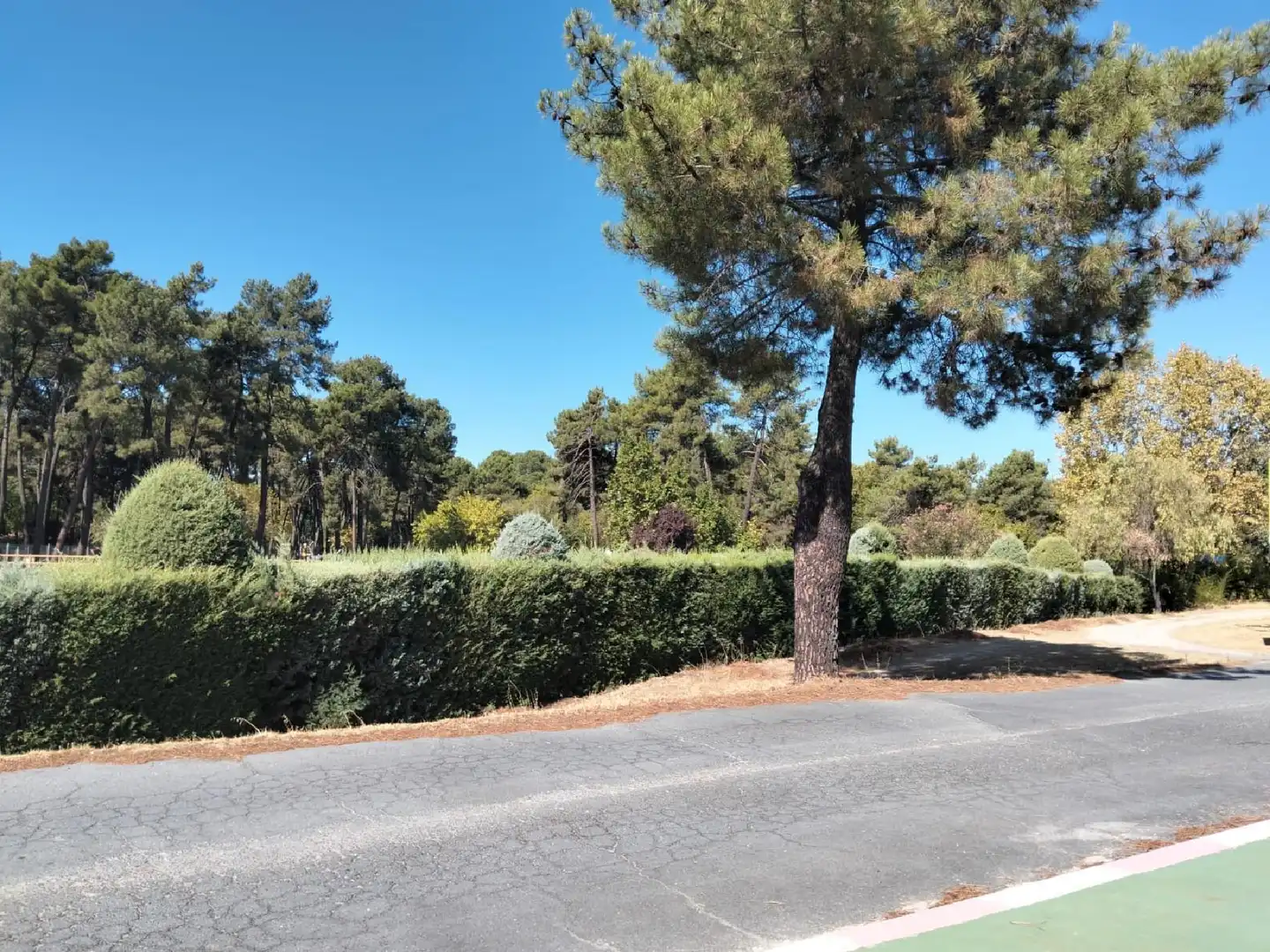 Chalet en venta en Talayuela, imagen 22