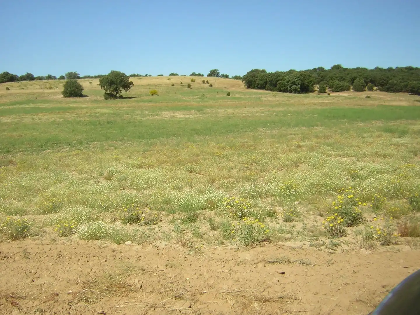 Rural land for sale in Almorox, imagen 9