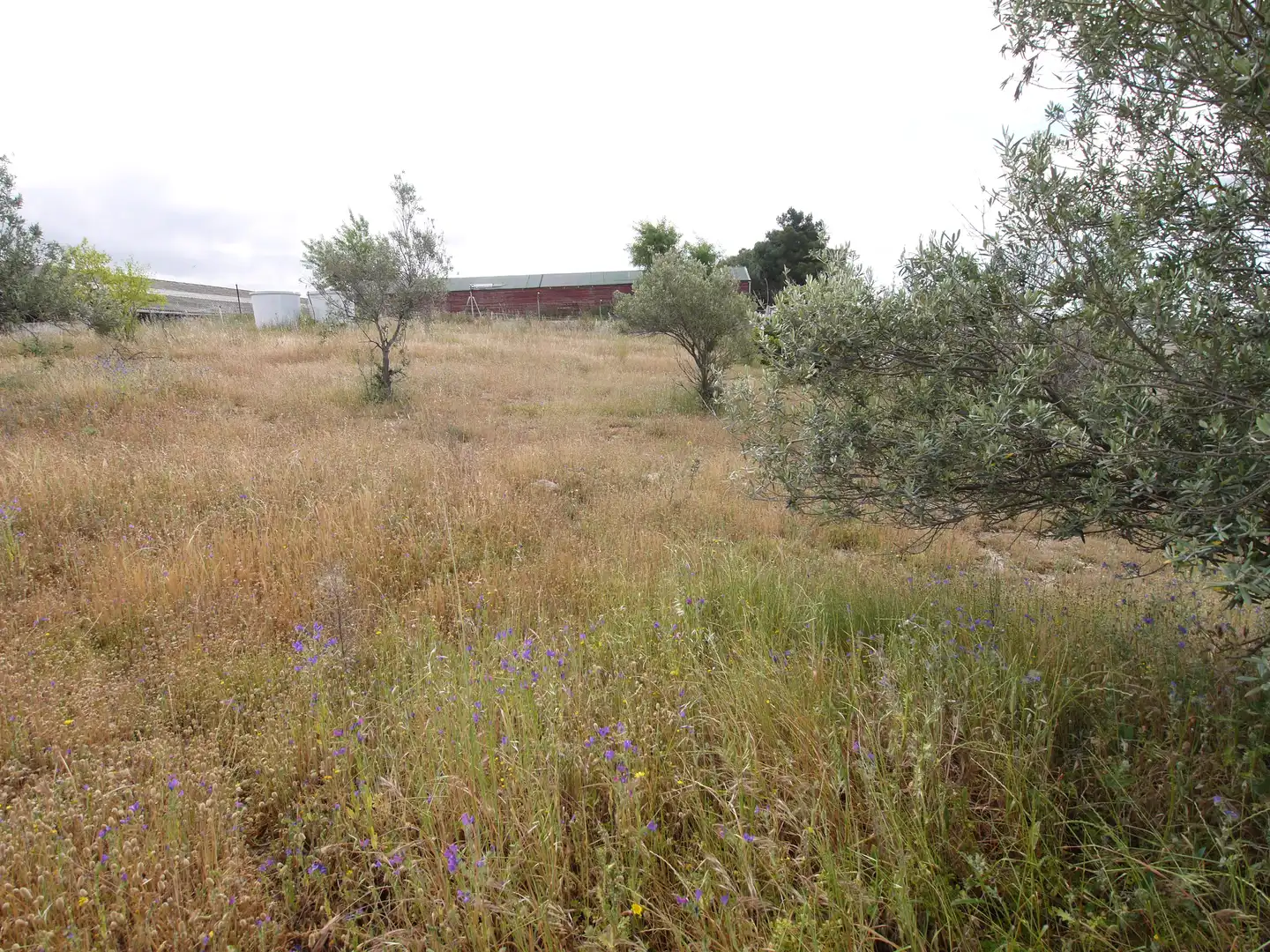Grundstücke zum Verkauf in Vial Camino, El Olivar - La Magdalena