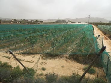 Terreno residencial en venta en Monforte del Cid