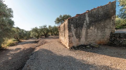 Photo 3 of Country homes for sale in Carretera Tortosa, 3, Mas de Barberans, Tarragona