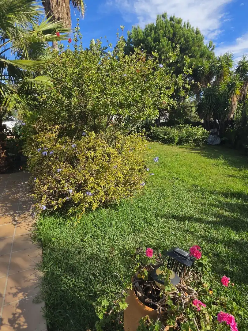 Jardín de Casa o chalet en venta en Casares