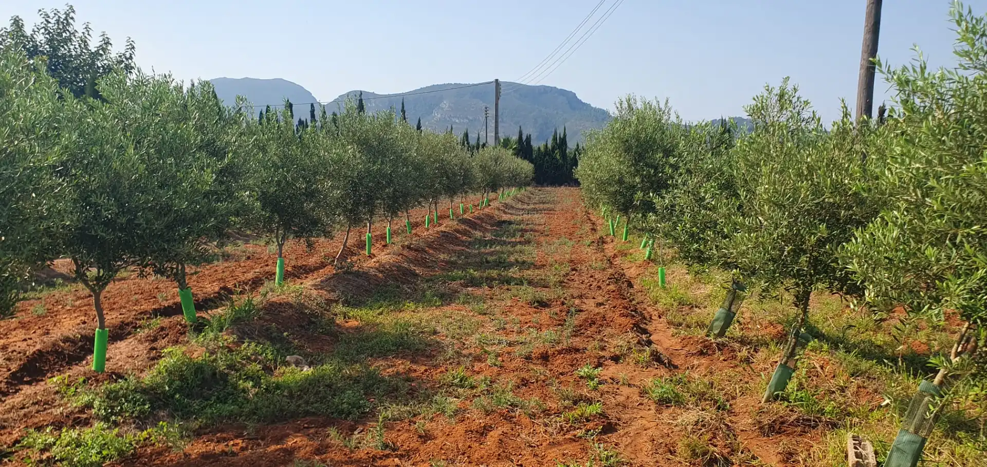 Country house for sale in Camí de les Basses, imagen 4