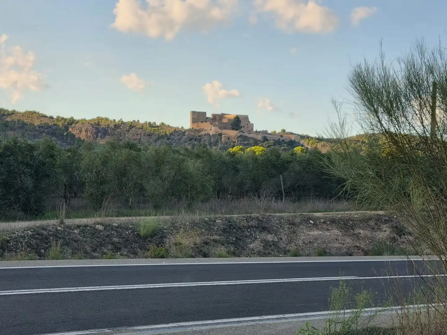 Grundstücke und Bauplätze zum Verkauf in poligono 14 parcela 31 Ginestar, imagen 17