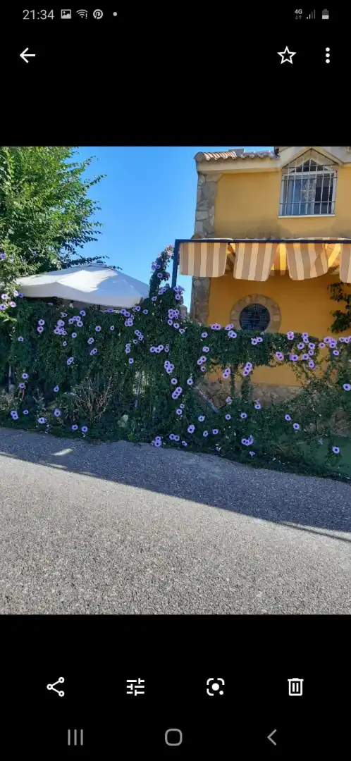 Villa zum Verkauf in Almodóvar del Río, imagen 24