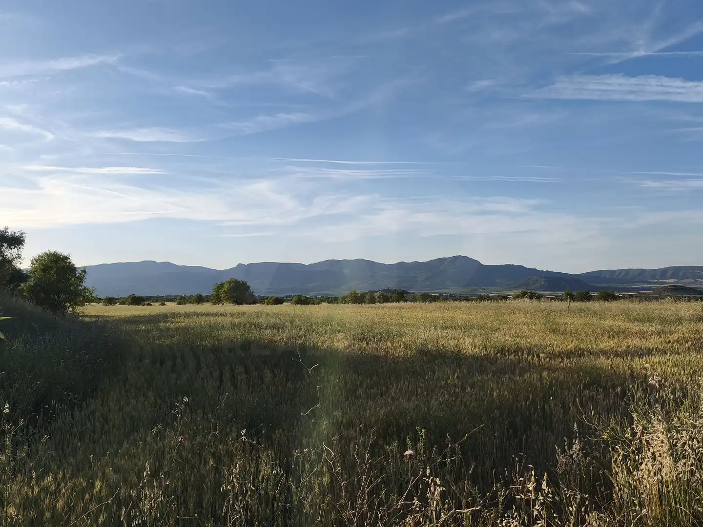 Terreno rustico in vendita a Moratalla, imagen 17