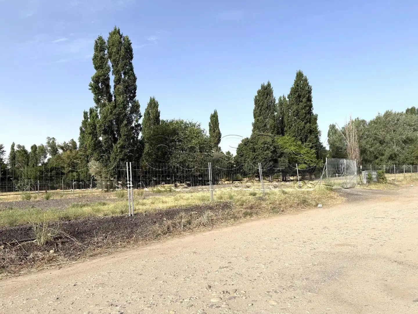 Grundstücke zur Miete in Paracuellos de Jarama