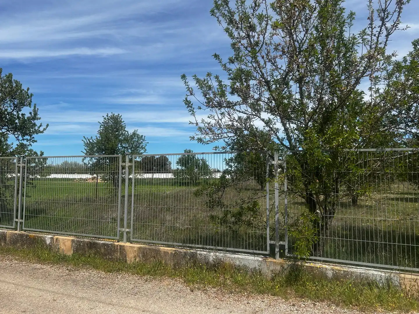 Terreny rústic en venda a Miguelturra, imagen 5