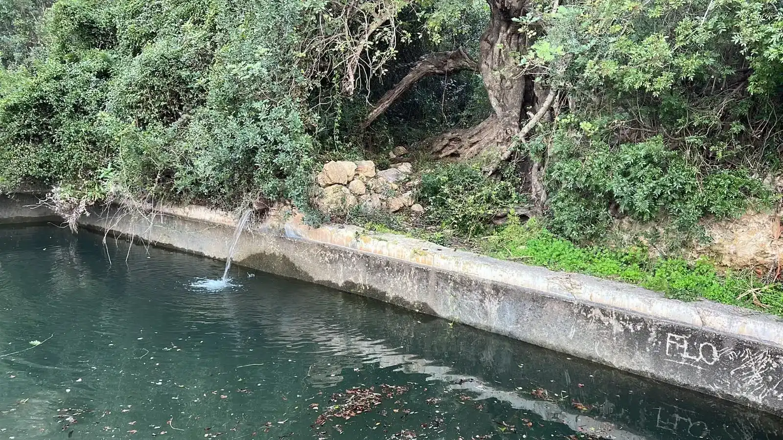 Vista exterior de Finca rústica en venda en Bédar amb Balcó