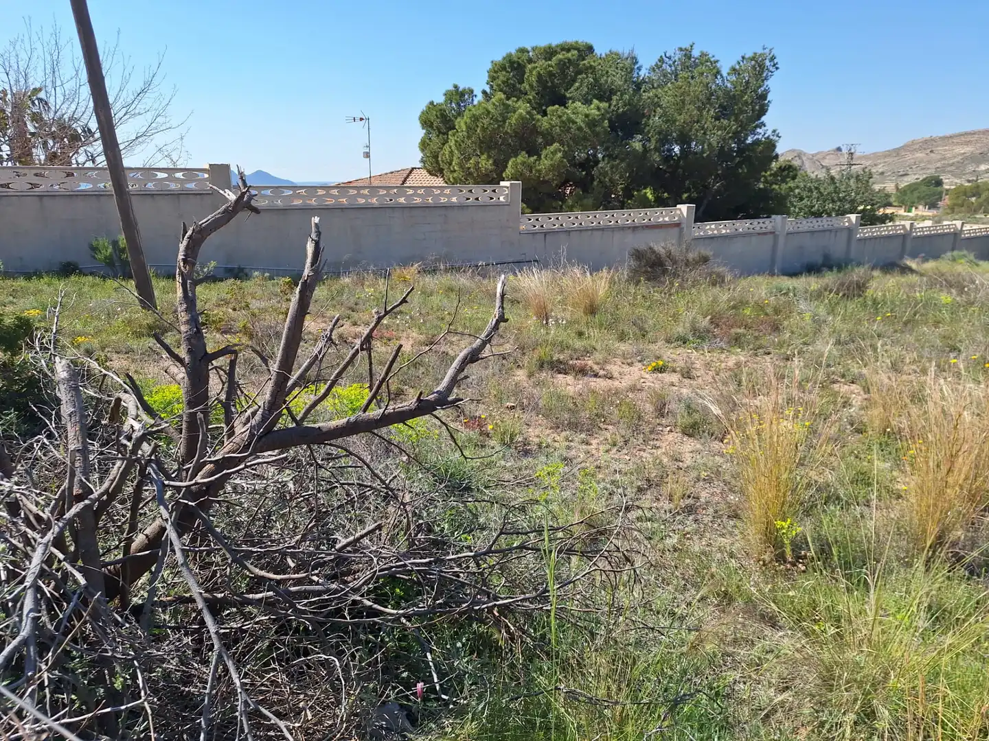Terreno rústico en venta en Partidas de Alicante