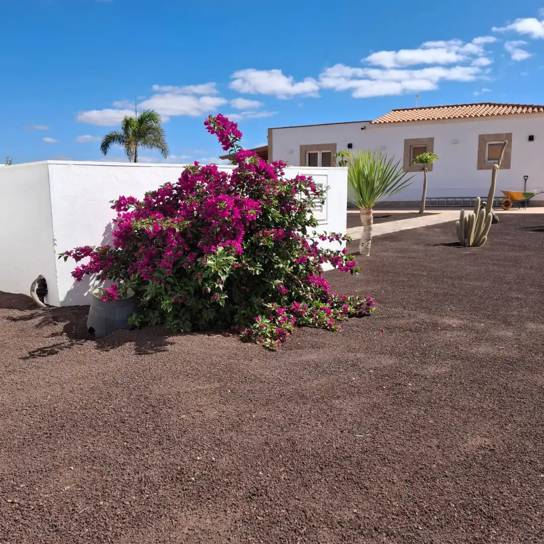 Vista exterior de Casa o chalet en venta en Tuineje con Jardín privado, Terraza y Trastero