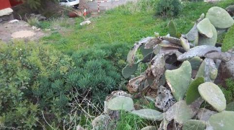 Photo 4 of Residential for sale in Caserones - La Higuera, Las Palmas