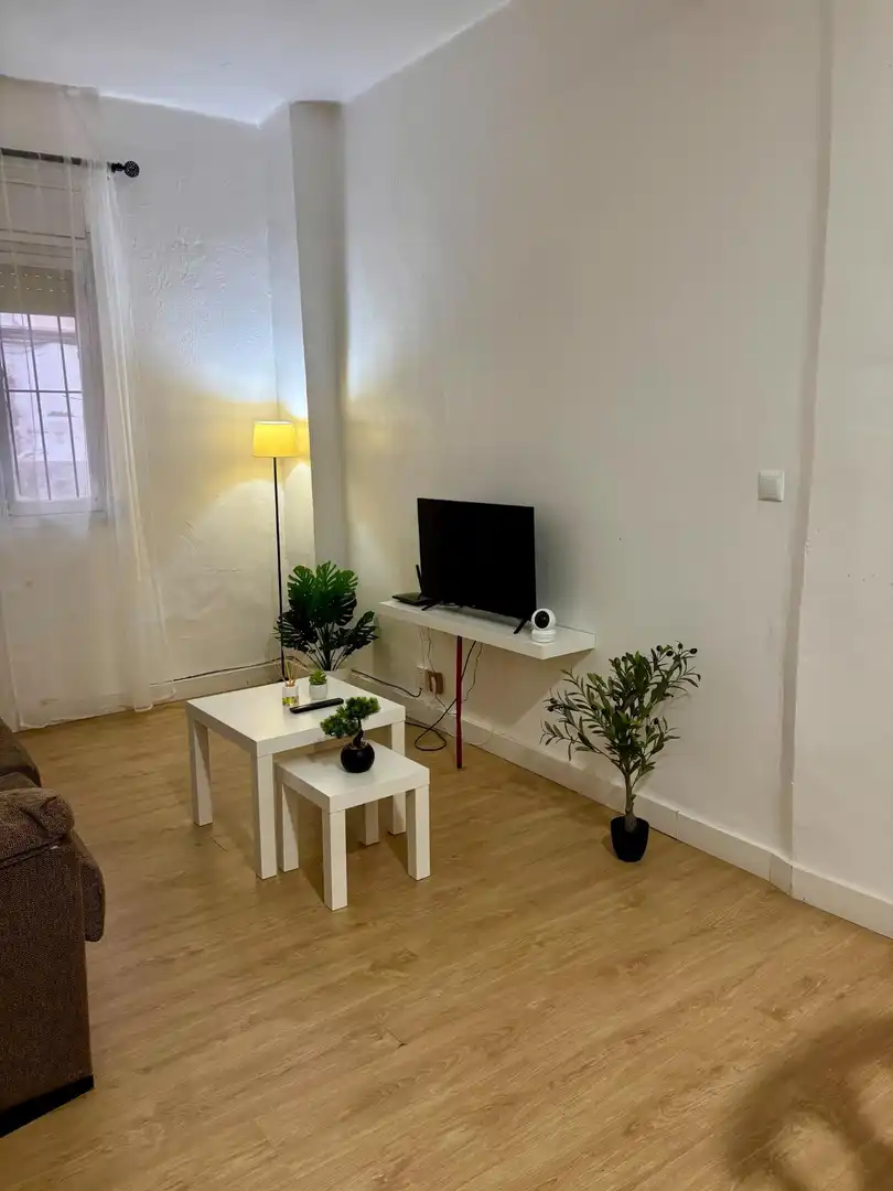 Sala d'estar de Planta baixa de lloguer en Elche / Elx amb Moblat