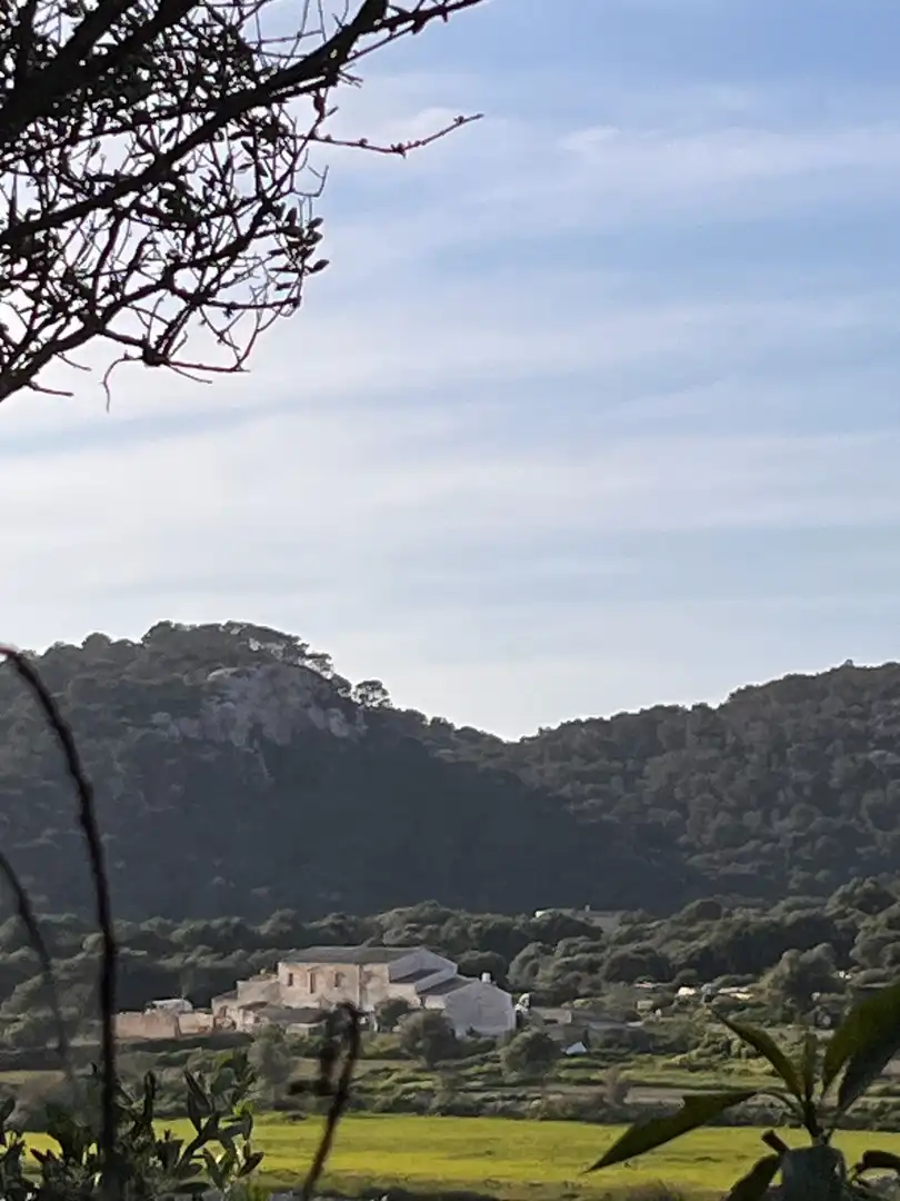 Vista exterior de Terreno en venta en Alaior