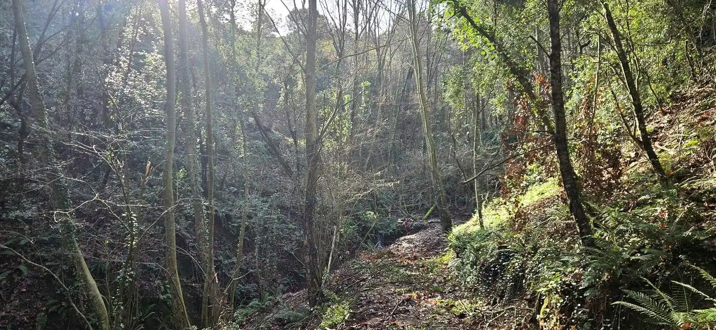 Vista exterior de Finca rústica en venta en Arbúcies con Jardín privado, Terraza y Amueblado