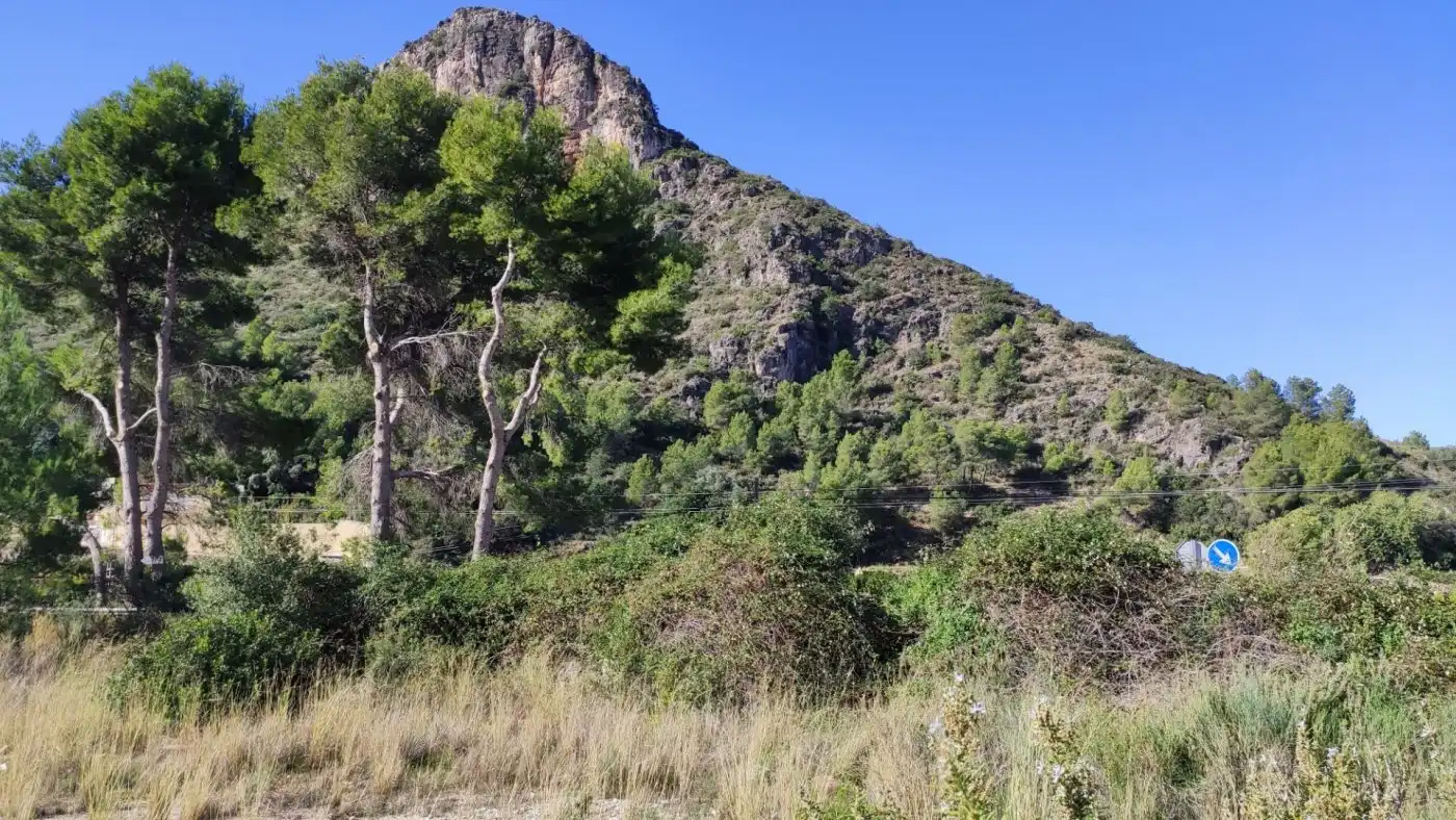 Finca rústica en venta en L'Atzúbia