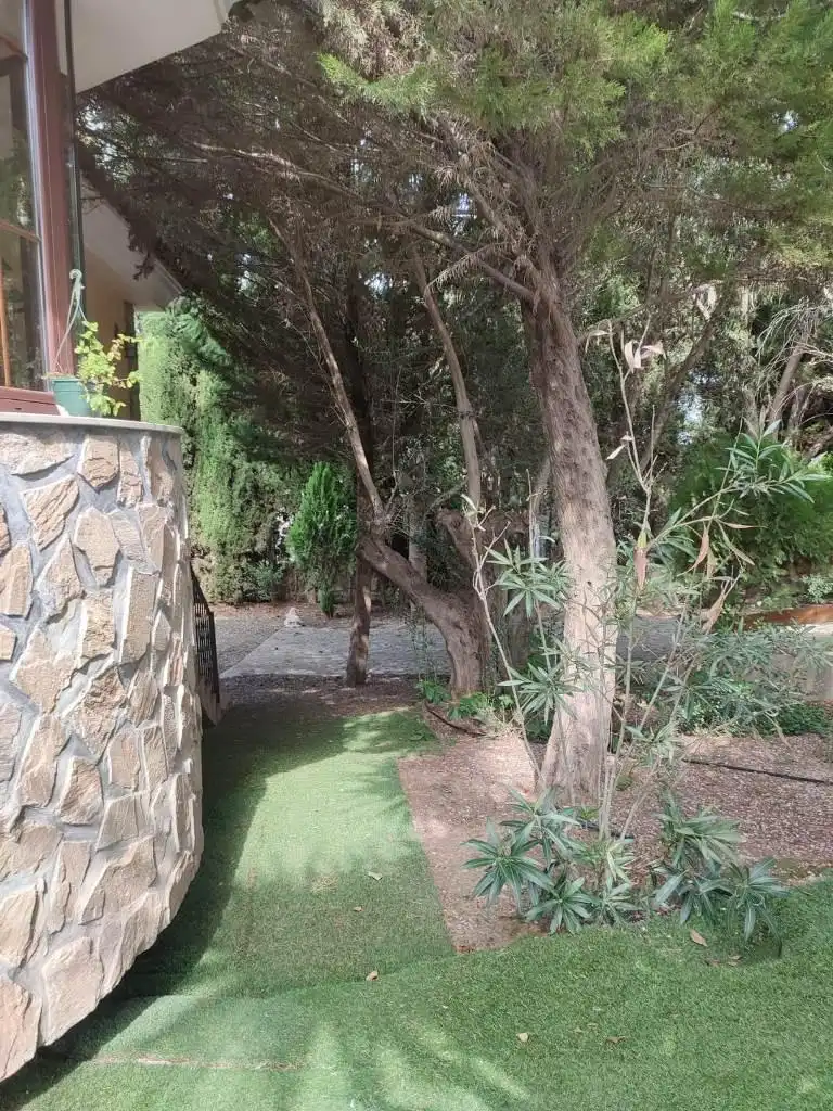 Jardí de Casa o xalet en venda en Totana amb Calefacció, Jardí privat i Terrassa