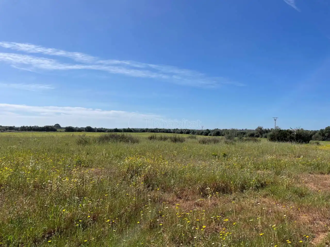 Terreny residencial en venda a Ses Palmeres, imagen 2