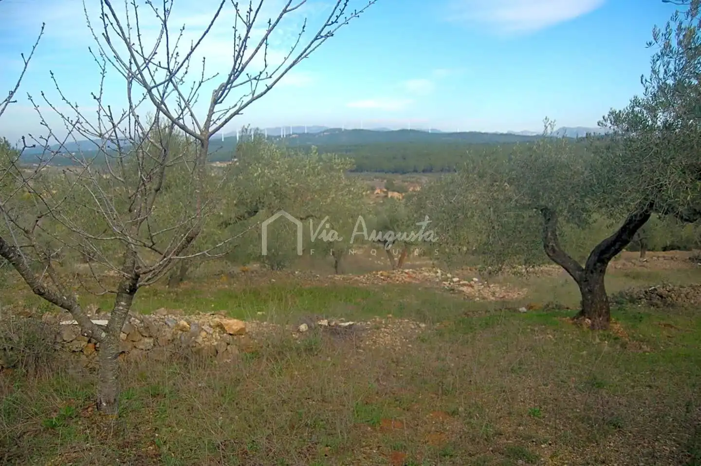 Terreno rustico in vendita a Burgar, imagen 17