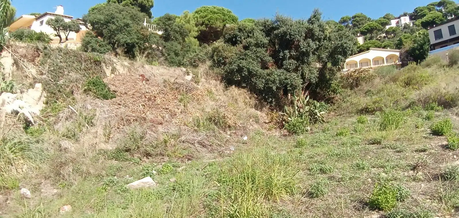 Terrenos y solares en venta en Serra Brava, imagen 2