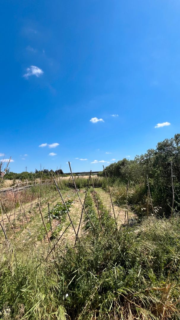 Terreno en venta en Carrer Miquel Tort, 14.16, Molins de Rei